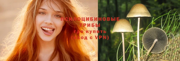молекула духа Баксан