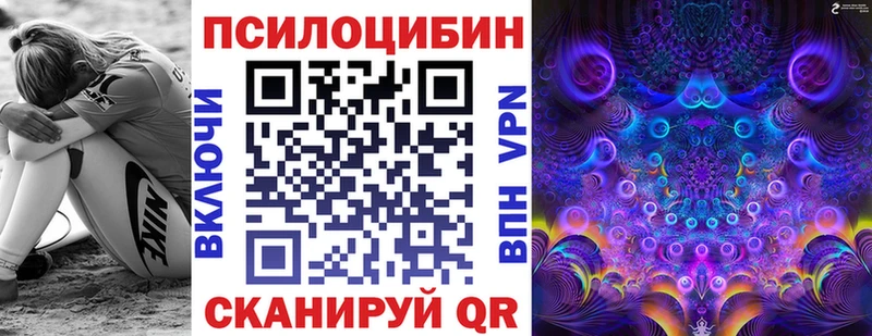 Псилоцибиновые грибы Cubensis  Оленегорск 